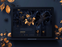 Load image into Gallery viewer, One Page - Web Design