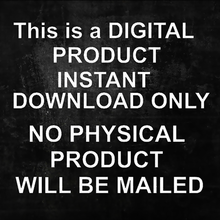 Load image into Gallery viewer, Order Custom Flyer Design Here