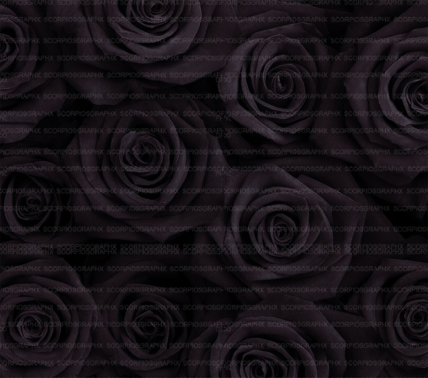 Black Roses PNG | Sublimation | Tumbler Wrap Design | Digital Download